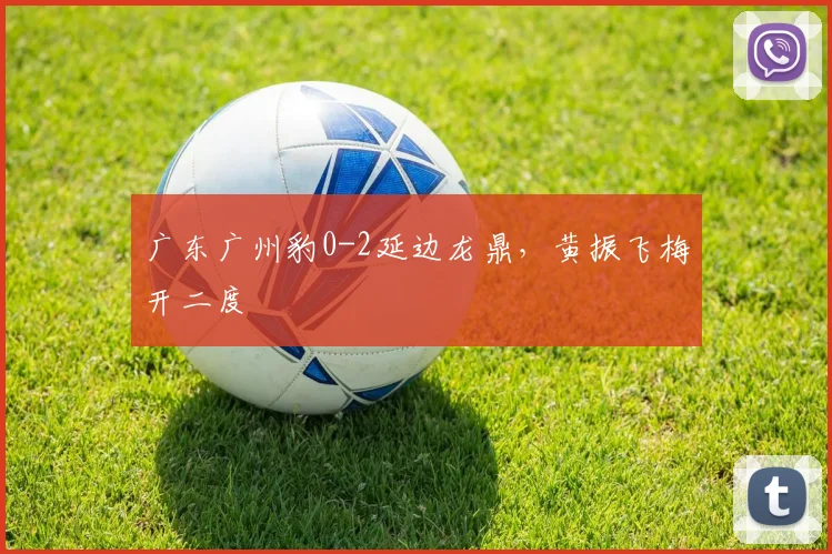 广东广州豹0-2延边龙鼎，黄振飞梅开二度